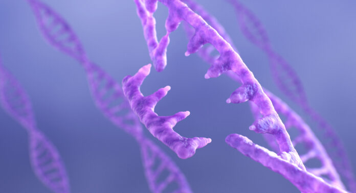 DNA and RNA Editing