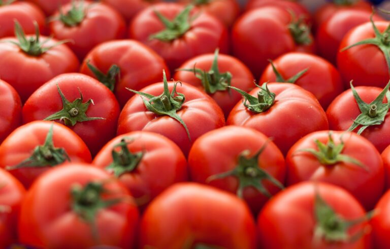 Taste the Sun: Gene Editing Produces Vitamin D Enhanced Tomatoes