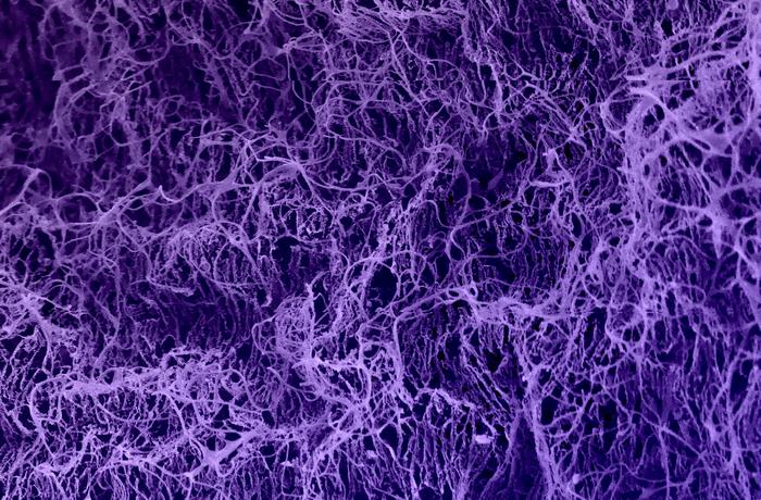 Tissue-Mimicking Biomaterials Engineered to Steer T-Cell Development