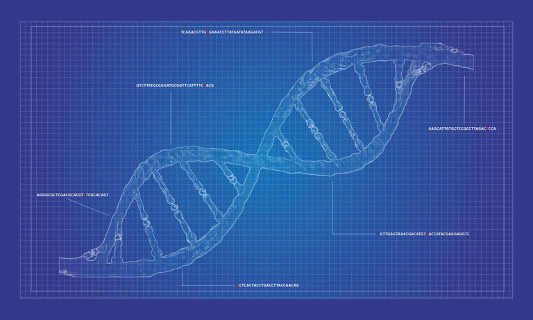 The Long and Winding Road: On-Demand DNA Synthesis in High Demand