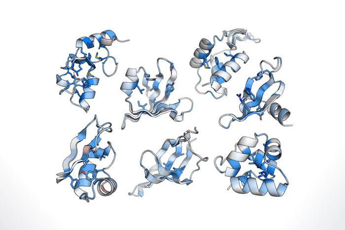 Protein Folding Stability at Large Scale