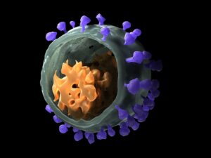 simian immunodeficiency virus