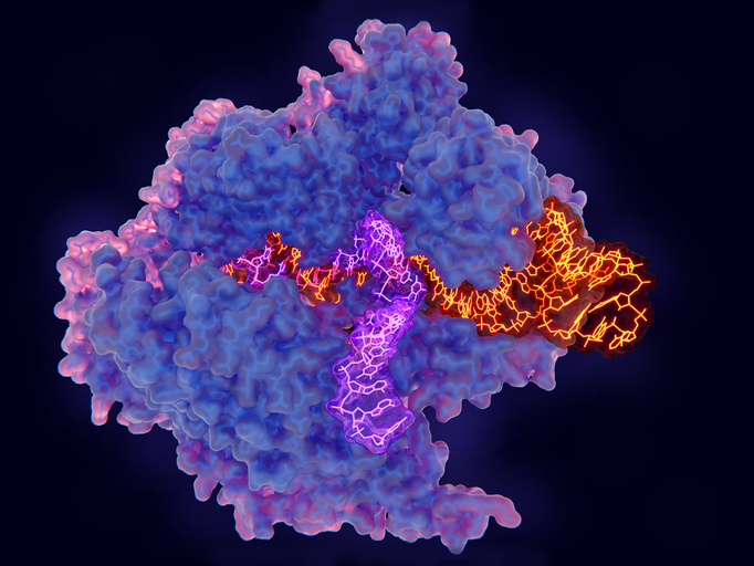 ERS Genomics Inks CRISPR Deal with Santa Cruz Biotechnology