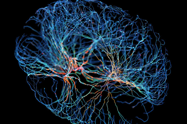 Brain Network Mapping Study Challenges Basis for Psychiatric Distinctions