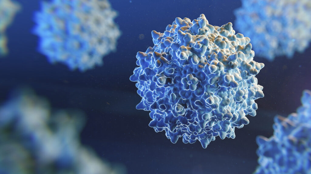 Adeno-associated virus