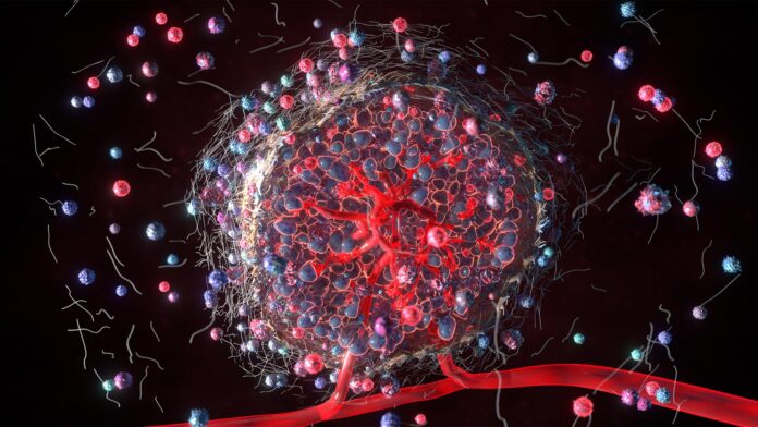 Tumor microenvironment