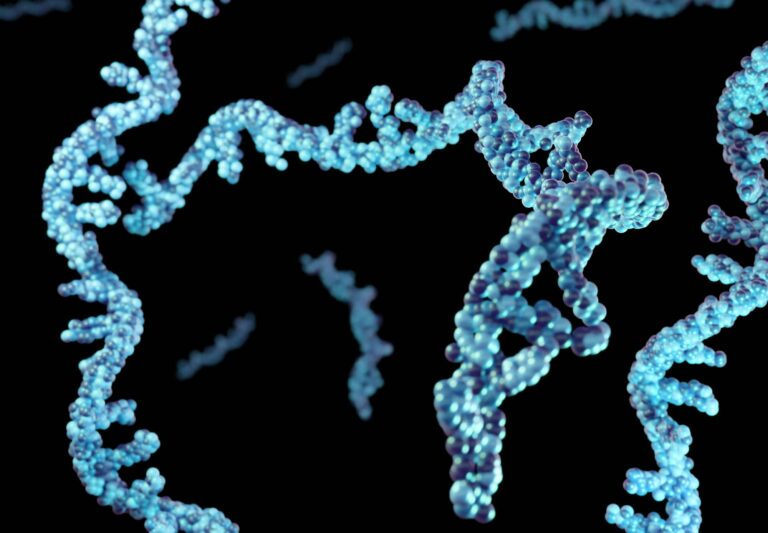 mRNA Pioneers Win the 2023 Nobel Prize in Physiology or Medicine