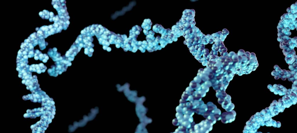 Isolated RNA abbreviation of ribonucleic acid