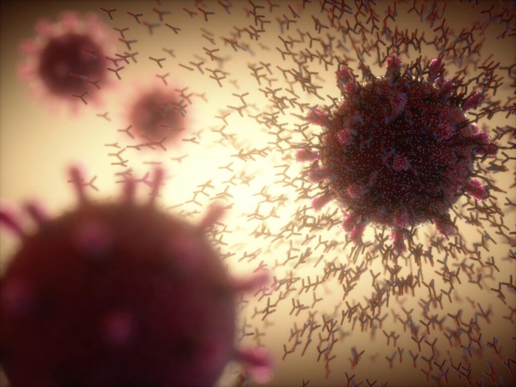 Antibodies responding to covid-19 coronavirus, illustration