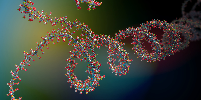 RNA chain
