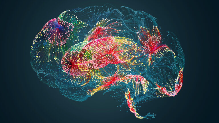 “Brain Wiring Diagram” Grant Awarded to University of Minnesota Med School