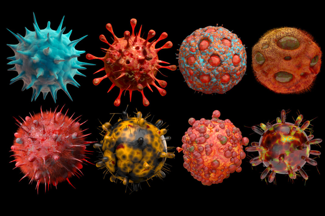Types of deadly Virus.