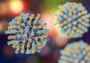 Measles Virus as Cancer Therapy