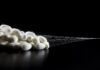 CRISPR Silkworms Make Spider Silk That Defies Scientific Constraints