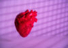 Genetically-Modified Pig Heart Is Xenotransplanted into a Second Patient