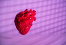 Genetically-Modified Pig Heart Is Xenotransplanted into a Second Patient