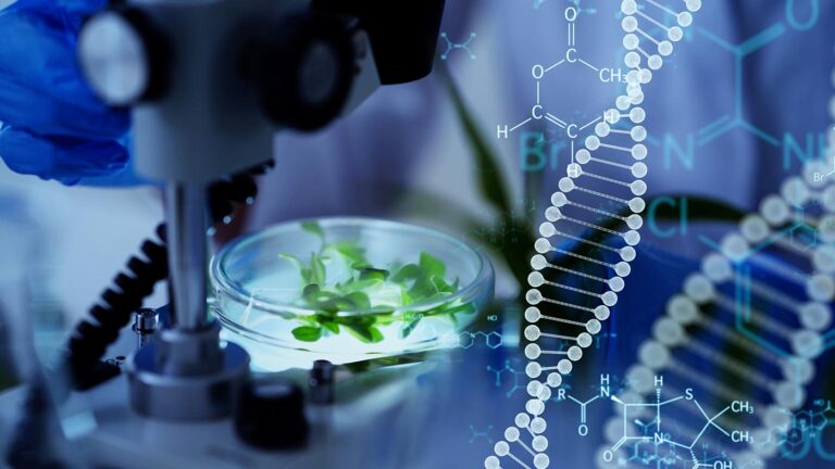 Reproducible Peptide Mapping for Biotherapeutics Development