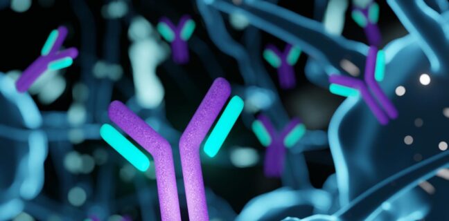 Antibodies