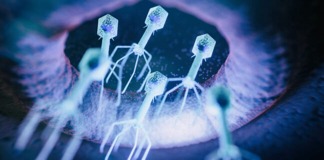 phage