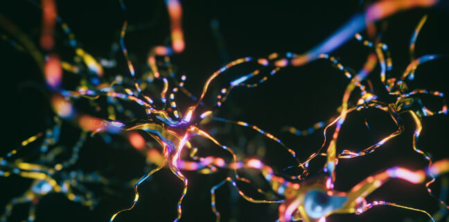 Neurons Cells System