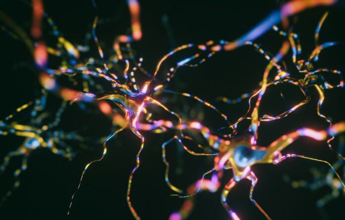 Neurons Cells System