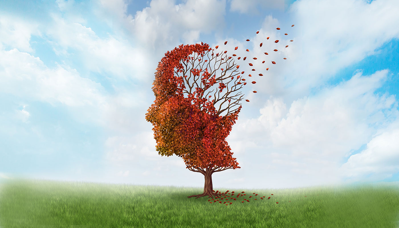 Antibodies Take Center Stage in Alzheimer's