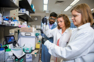 The researchers put promising candidates through extensive testing for efficacy and toxicity, both in vitro and in vivo. Pictured, from left: Arun Maji, Agnieszka Lewandowska and Corinne Soutar. [Michelle Hassel, University of Illinois.]