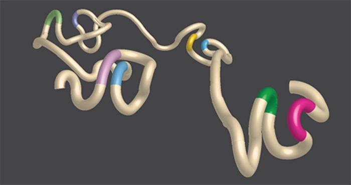 A rendering of chromatin architecture that demonstrates DNA loops. The stretch of DNA (tan) is accented with colored portions of genetic code (green and pink, blue and yellow, light green and purple, and light purple and light blue) that are brought closer together by the formation of loops.