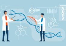 Prime Assembly Expands Genome Editing with Precise, Large-Scale DNA Integration