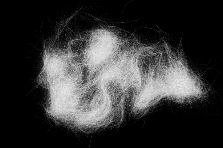 미세유체공학을 사용해 회전시킨 합성 거미줄은 천연 섬유를 모방합니다.