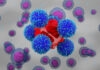 CAR and Mesenchymal Stromal Cells Combine to Enhance Autoimmune Disease Immunotherapy