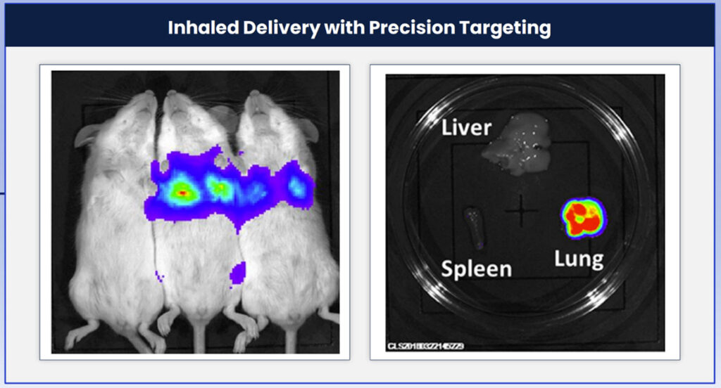 InhaledDelivery with Precision Targeting images