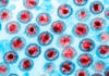 Evotec Expands Anti-HIV Antibody Deal with Advanced BioScience Laboratories