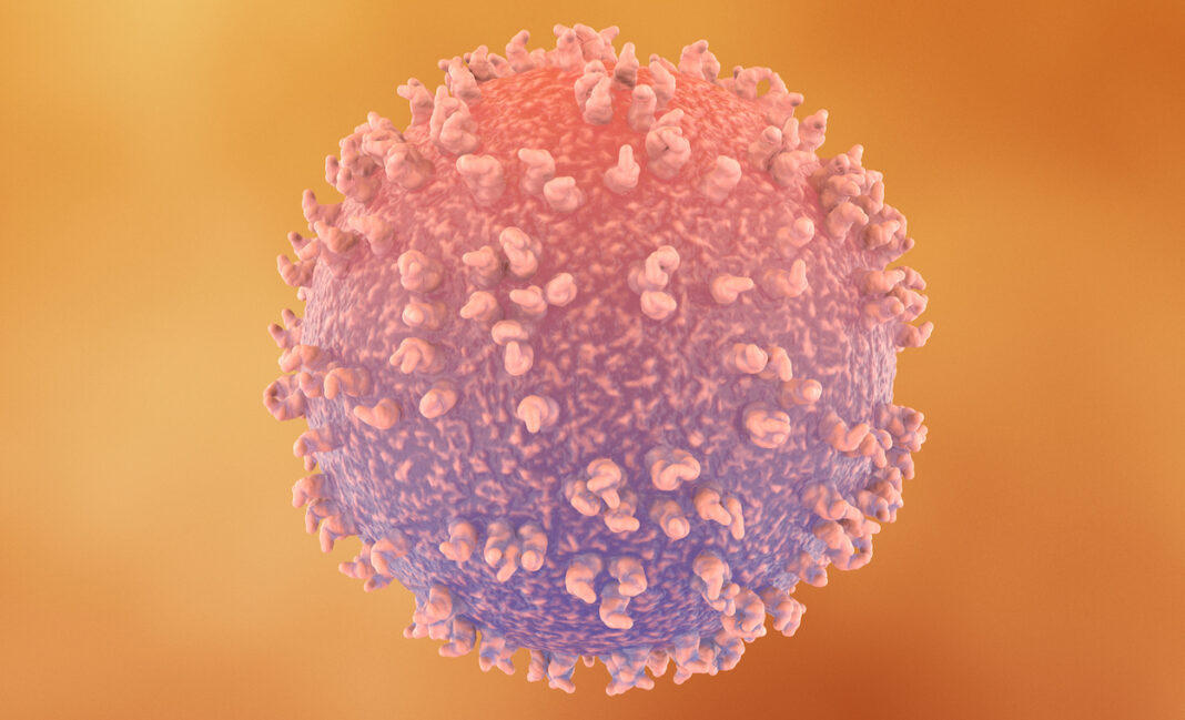 Lymphocytes in the Human Immune System