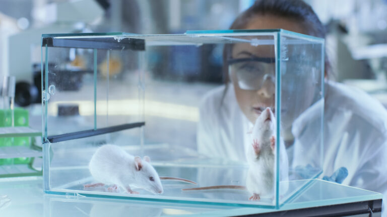 Gene Therapy in Mice Holds Promise for ALS and Dementia