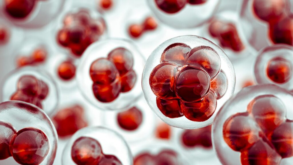 Cells