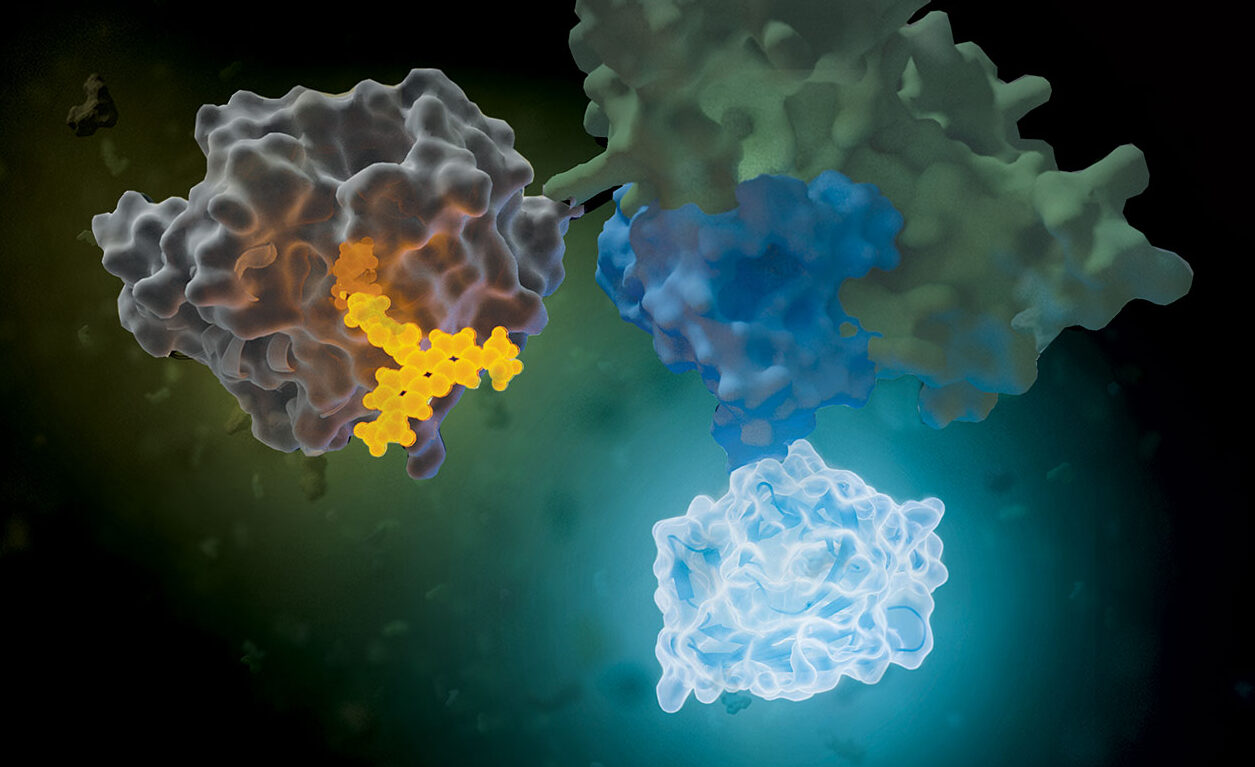 HaloTag NanoBRET 618 ligand