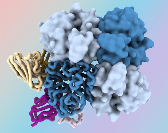 Novel Antibodies Zero in on Hidden Region of Influenza Virus Protein