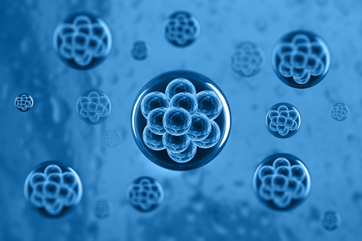 Organoids from Amniotic Fluid Cells: A Landmark Achievement That Will Broaden Research