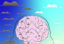 Alzheimer’s Risk Linked to Brief, Localized Oxygen Deficits in Brain