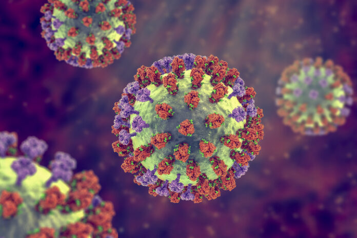 Flu virus, illustration Influenza