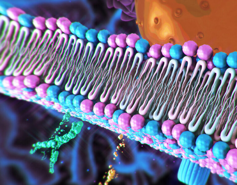 AACR 2024: EpiBiologics Advances Degraders of Membrane-Bound Proteins