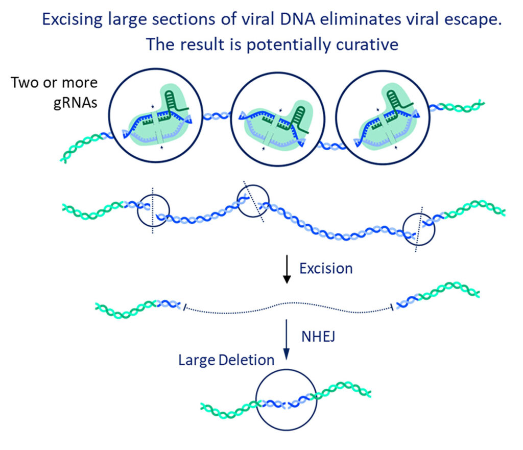 Excision Bio Viral DNA