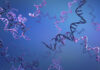 RNA Helixes with Molecular Fulcrum Function Can Inform Antibacterials