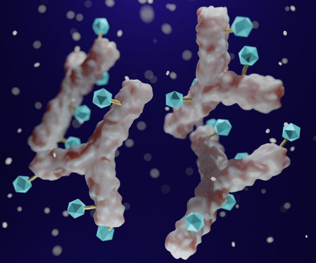 Antibody-drug conjugates