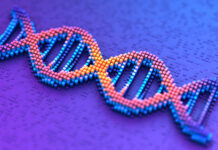 Could Single Technologies’ 3D Sequencing Deliver the $10 Genome?