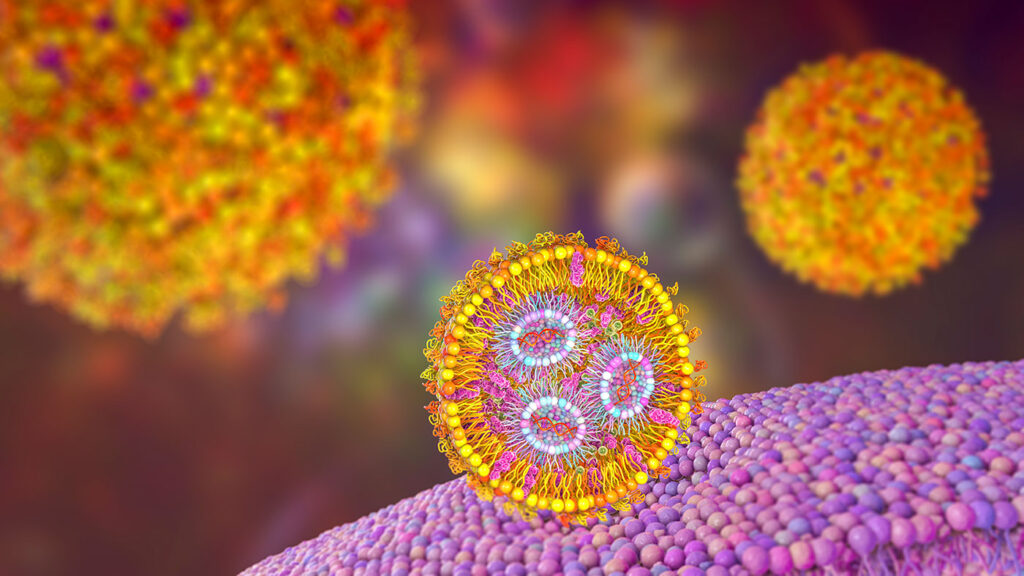Lipid nanoparticle mRNA vaccine