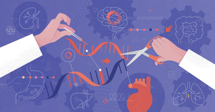 DNA Manipulation Genetic Engineering