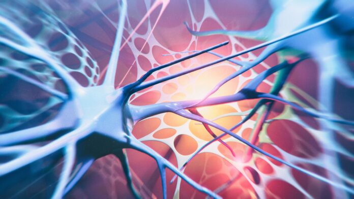 Oct13_2020_Getty_1152856121_Alzheimers RESIZE11111 Image of nerves within the central nervous system