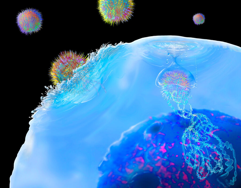 CAR T cell immunotherapy